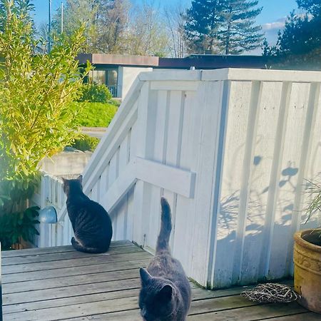 Cool Familyhome Close To The Beach W Two Cuddly Cats Espergaerde Екстер'єр фото
